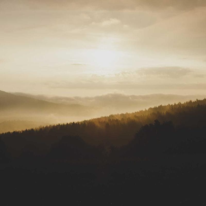 Caftan Femme Moderne