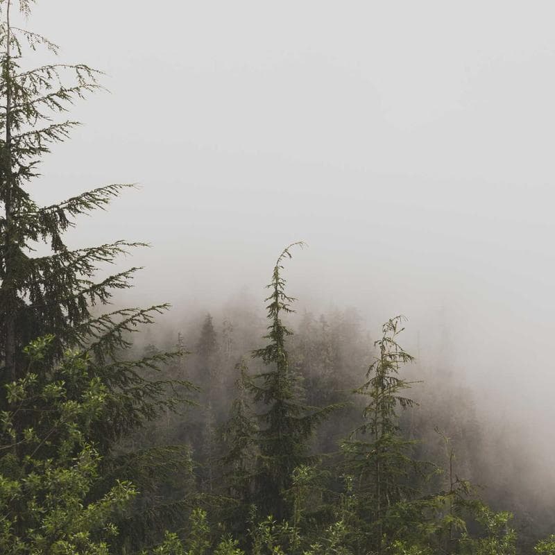 Service à Thé Marocain