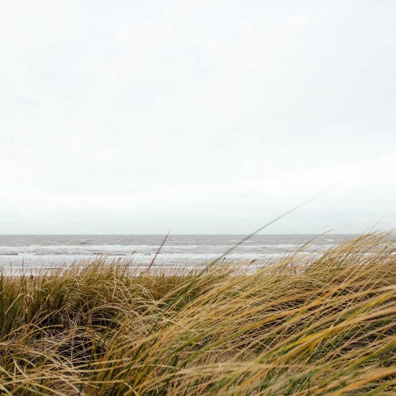 Tajine Céramique Artisanal